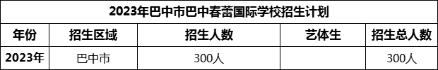 2024年巴中市巴中春蕾國際學校招生計劃是多少？