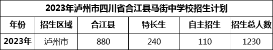 2024年瀘州市四川省合江縣馬街中學(xué)校招生計(jì)劃是多少？